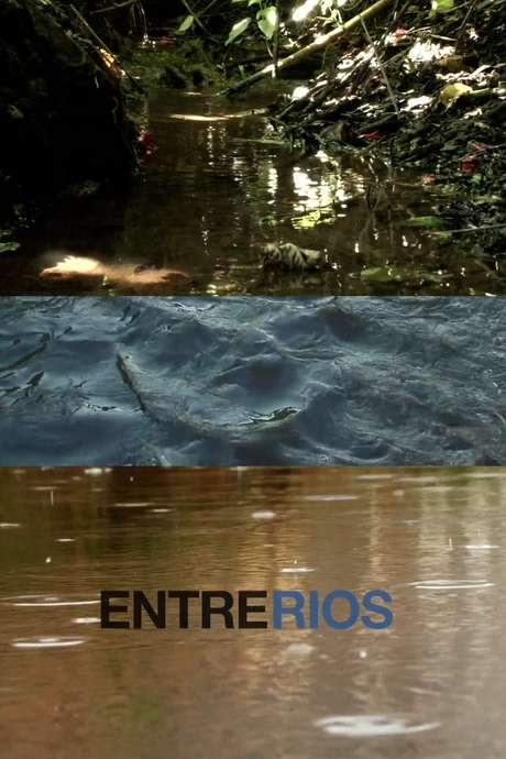 The documentary examines São Paulo’s extensive alteration of its watercourses, tracing the social, political and economic forces that drove the city to remodel the landscape as though the rivers never existed. It reveals how urban planning, policy decisions and economic pressures reshaped the capital’s waterways.